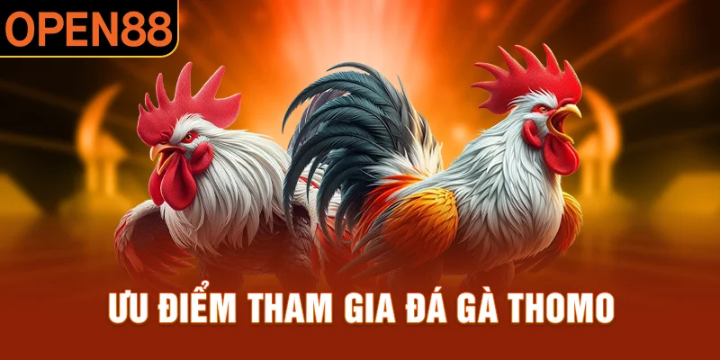 Những yếu tố hấp dẫn người chơi tại nhà cái